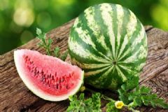 老年人夏季要多吃什么？老年人夏季吃哪些食物好？[圖]