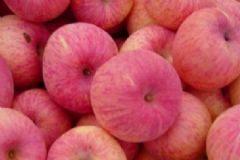 高血脂患者吃哪些食物有助降血脂？高血脂吃什么降脂？[圖]