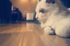 經(jīng)常夜間胃痛是怎么回事？經(jīng)常夜間胃痛要注意什么？[圖]