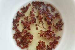 花椒水可以緩解痛經(jīng)？花椒水對產(chǎn)婦有什么作用？[圖]