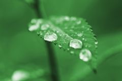 夏天如何養(yǎng)生呢？夏天養(yǎng)生要注意什么？[圖]