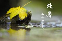 處暑之后還會(huì)不會(huì)熱？處暑后吃什么養(yǎng)生？[圖]