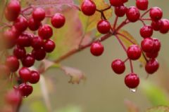 白露怎么養(yǎng)生？白露運(yùn)動(dòng)需要注意哪些事情？[圖]