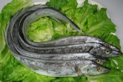 帶魚(yú)的營(yíng)養(yǎng)價(jià)值及功效有哪些？帶魚(yú)有什么營(yíng)養(yǎng)價(jià)值功效？[圖]