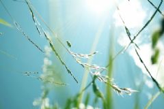 三伏天鍛煉的好處 三伏天要注意什么？[圖]