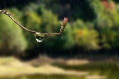 梅雨季節(jié)如何防潮？梅雨季節(jié)房間潮濕怎么辦？[圖]