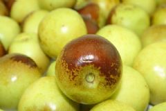 月經(jīng)期能吃冬棗嗎？冬棗經(jīng)期能吃嗎？[圖]