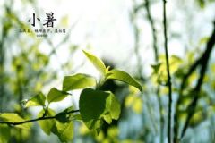 小暑起居養(yǎng)生有哪些注意事項(xiàng)？小暑起居養(yǎng)生常識(shí)[圖]