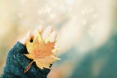 經(jīng)期冒虛汗怎么回事？經(jīng)期出虛汗怎么回事？[圖]