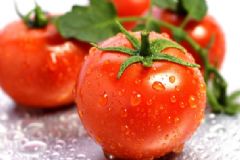 吃西紅柿?xí)啬虇?？哺乳期吃番茄會回奶嗎？[圖]