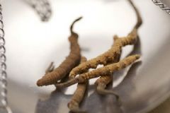用什么泡酒可以壯陽補(bǔ)腎？什么酒能壯陽？[圖]