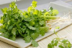 香菜煮水洗腎是真的嗎？香菜煮水洗腎科學(xué)嗎？[圖]