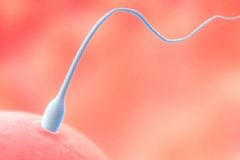 男人精子活力低怎么辦？精子活力低怎么調(diào)理？[圖]