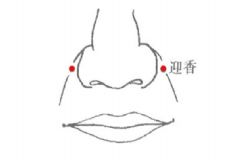 預(yù)防過(guò)敏按什么穴位？預(yù)防過(guò)敏按什么穴位好？[圖]