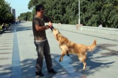 被狗咬了出血不打針行嗎？狗咬傷不打狂犬疫苗會怎樣？[圖]