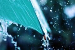 雨水節(jié)氣養(yǎng)生要注意什么？雨水節(jié)氣養(yǎng)生常識(shí)有哪些？[圖]