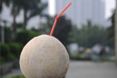 椰子是涼性還是熱性？椰子是熱性還是涼性？[圖]