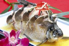 骨折能吃魚嗎？骨折吃魚可以嗎？[圖]