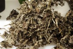 艾草對(duì)嬰兒有影響嗎？艾草對(duì)寶寶有影響嗎？[圖]