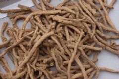 遠(yuǎn)志有哪些食用方法？遠(yuǎn)志的功效與作用有哪些？[圖]