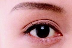 眼睛最愛七大營養(yǎng) 眼睛需要的營養(yǎng)有哪些？[圖]