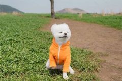 和爸媽吵架了怎么辦？和爸媽關(guān)系不好怎么辦？[多圖]