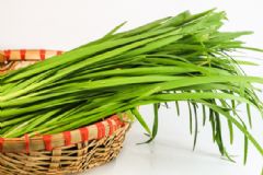 寶寶能吃韭菜嗎？寶寶吃韭菜好嗎？[多圖]