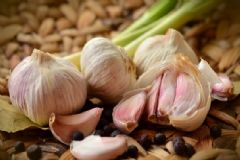 蚊子怕什么氣味？怎樣有效驅(qū)蚊？[圖]