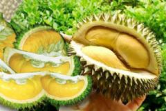 經(jīng)期能吃榴蓮嗎？來月經(jīng)可以吃榴蓮嗎？[多圖]