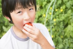 蛔蟲怎么形成的？蛔蟲怎么來的？[圖]