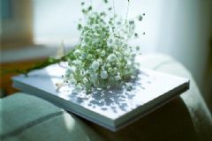 蕁麻疹不治療能好嗎？蕁麻疹不治療可以好嗎？[圖]