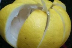 柚子皮泡腳的功效與作用？柚子皮煮水泡腳的功效？[圖]