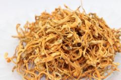 蟲草花是涼性還是熱性？蟲草花的功效是什么？[圖]
