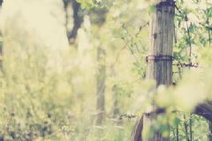 治療風(fēng)濕有什么偏方？治療風(fēng)濕的偏方[圖]