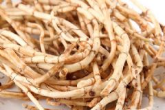 魚(yú)腥草的食用方法？魚(yú)腥草的用途[圖]