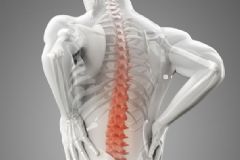 腰椎間盤突出有哪些表現(xiàn)？腰椎間盤突出的主要癥狀[圖]