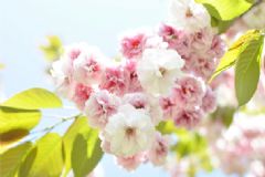 肛門(mén)濕疹怎么止癢？肛門(mén)濕疹如何止癢？[圖]