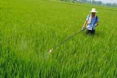 百草枯中毒后有哪些癥狀？中毒后有哪些急救措施？[圖]