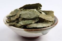 淫羊藿是什么？淫羊藿有什么作用？[圖]