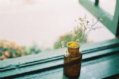 滴蟲性陰炎一般怎么治好？滴蟲性陰炎治療的癥狀在怎么治療？[圖]