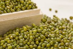怎么用綠豆降血脂？吃什么降血脂最有效？[圖]