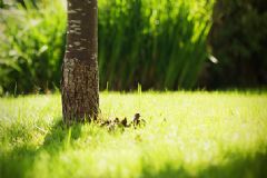 骨質(zhì)疏松能按摩嗎？骨質(zhì)疏松可以按摩嗎？[圖]