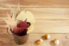 中醫(yī)的腎指什么？腎虧吃什么食物可以補？[圖]
