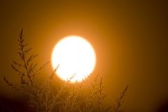 曬太陽有什么好處？曬太陽的最佳時(shí)間[圖]