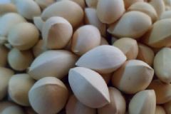 白果是哪種植物的果實(shí)？白果有哪些營(yíng)養(yǎng)？[多圖]
