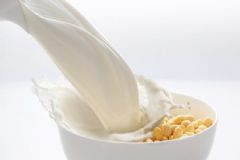 糖尿病可以喝豆奶粉嗎？糖尿病能不能喝豆奶粉？[多圖]
