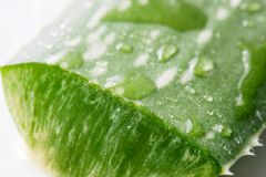 蘆薈膠會堵塞毛孔嗎？蘆薈膠會不會堵塞毛孔？[多圖]