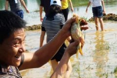 洪水里的魚(yú)能吃嗎？洪水里的魚(yú)可不可以吃？[多圖]