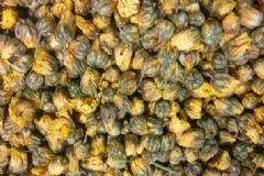 杭白菊和貢菊哪個(gè)好？杭白菊和貢菊的區(qū)別？[多圖]