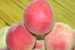 水蜜桃和油桃的區(qū)別有哪些？水蜜桃和油桃哪個(gè)好吃？[多圖]